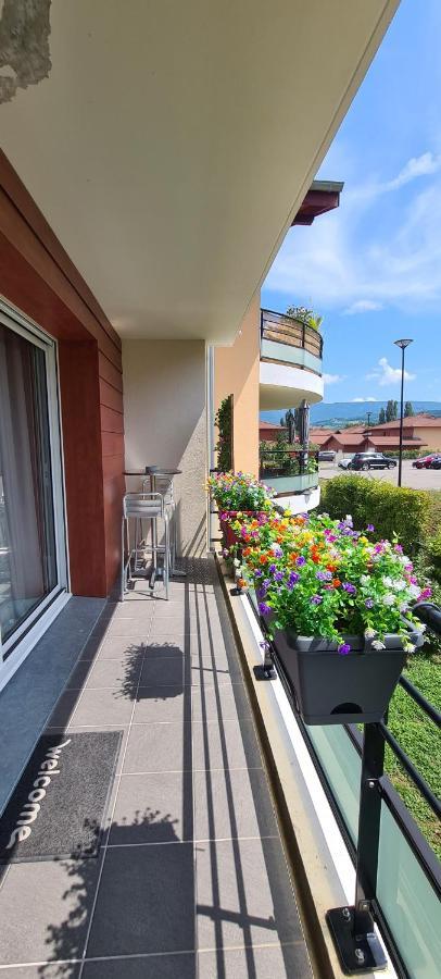 Le Cocon Du Leman Viry (Haute-Savoie) Exterior photo