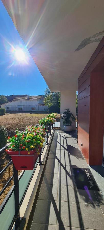 Le Cocon Du Leman Viry (Haute-Savoie) Exterior photo